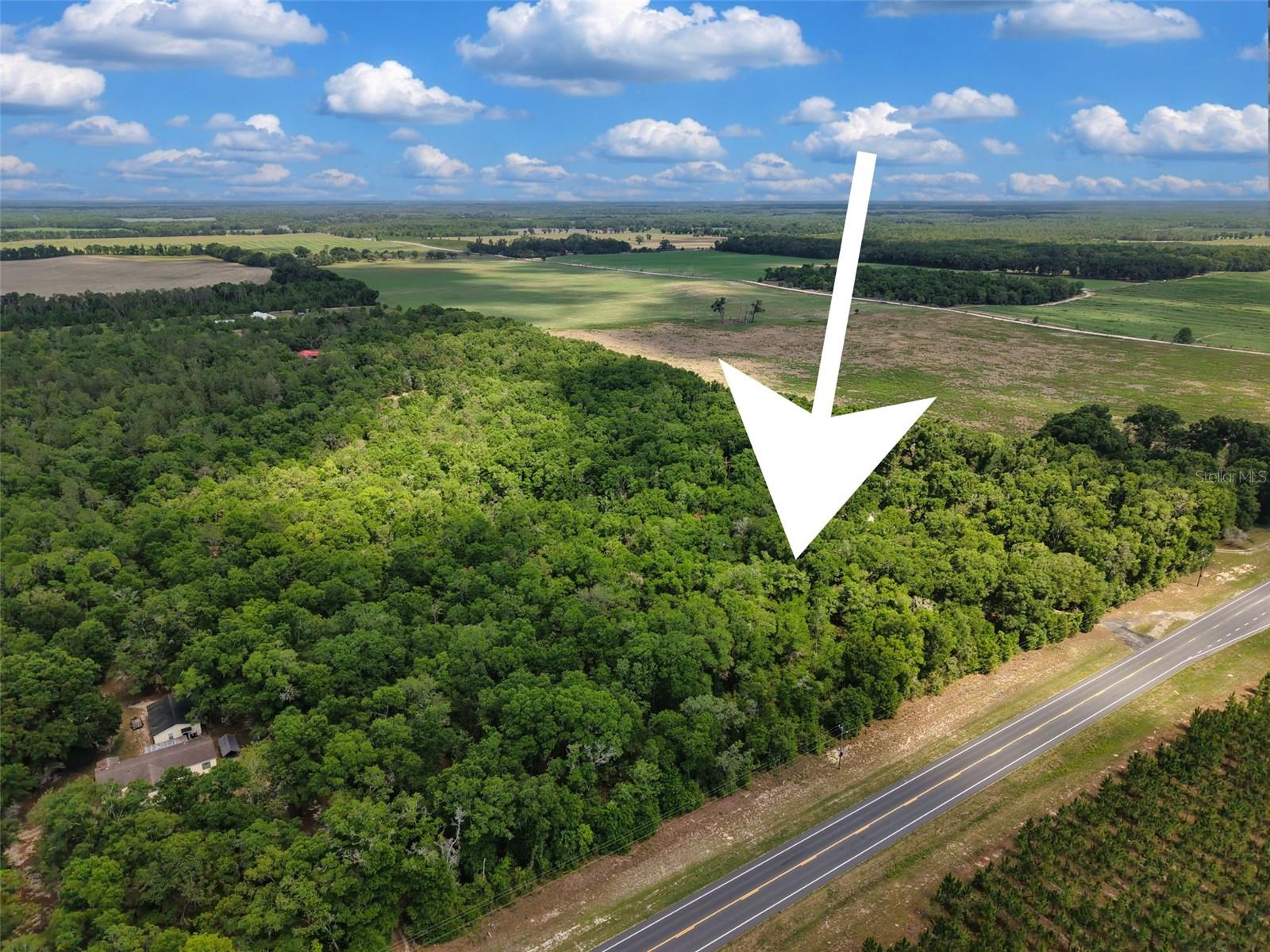 Lot 3 N State Rd 129 Property Photo 1