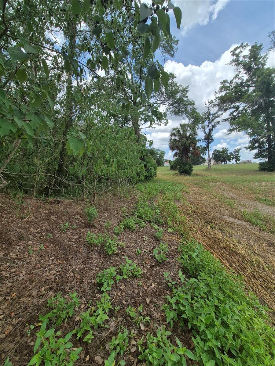 8748 Ne Jacksonville Rd Property Photo 2