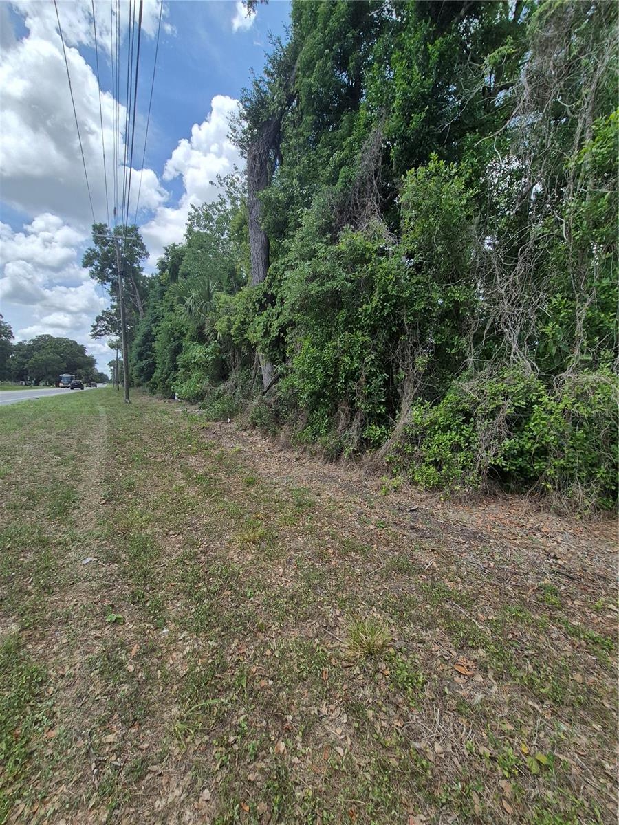 8748 Ne Jacksonville Rd Property Photo 4
