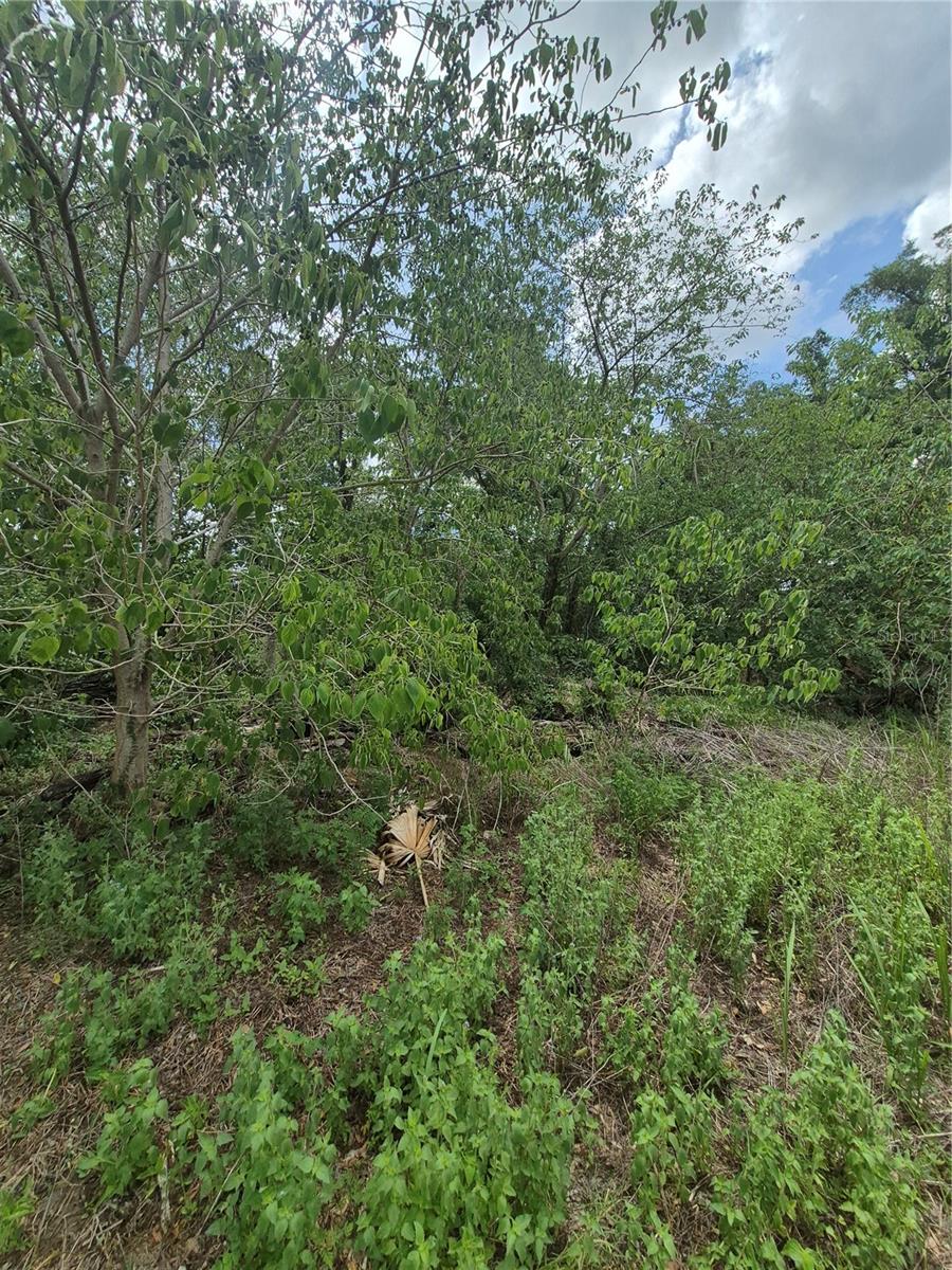 8748 Ne Jacksonville Rd Property Photo 6