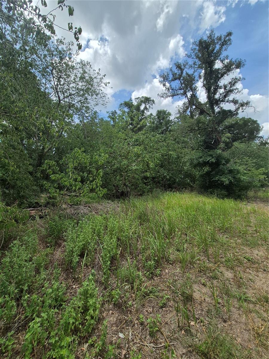 8748 Ne Jacksonville Rd Property Photo 7