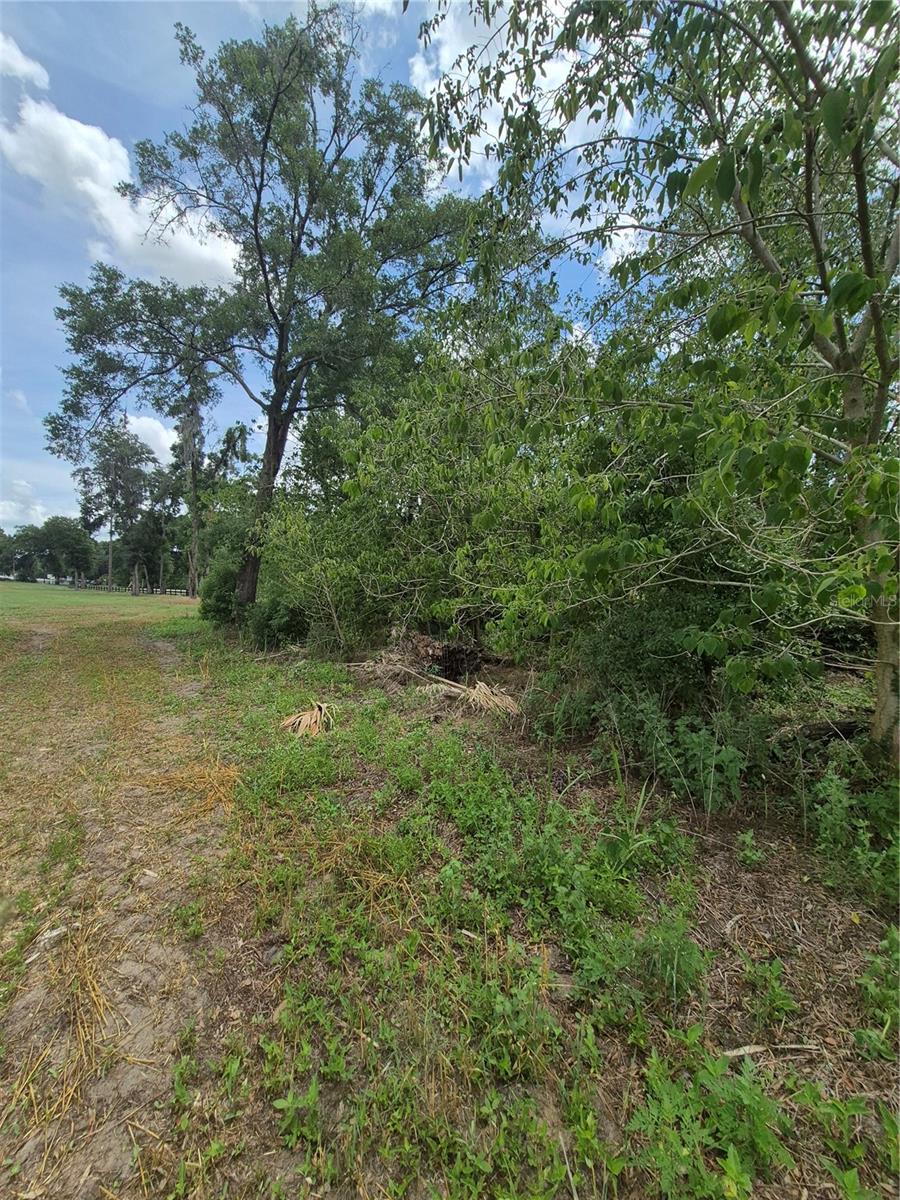 8748 Ne Jacksonville Rd Property Photo 8