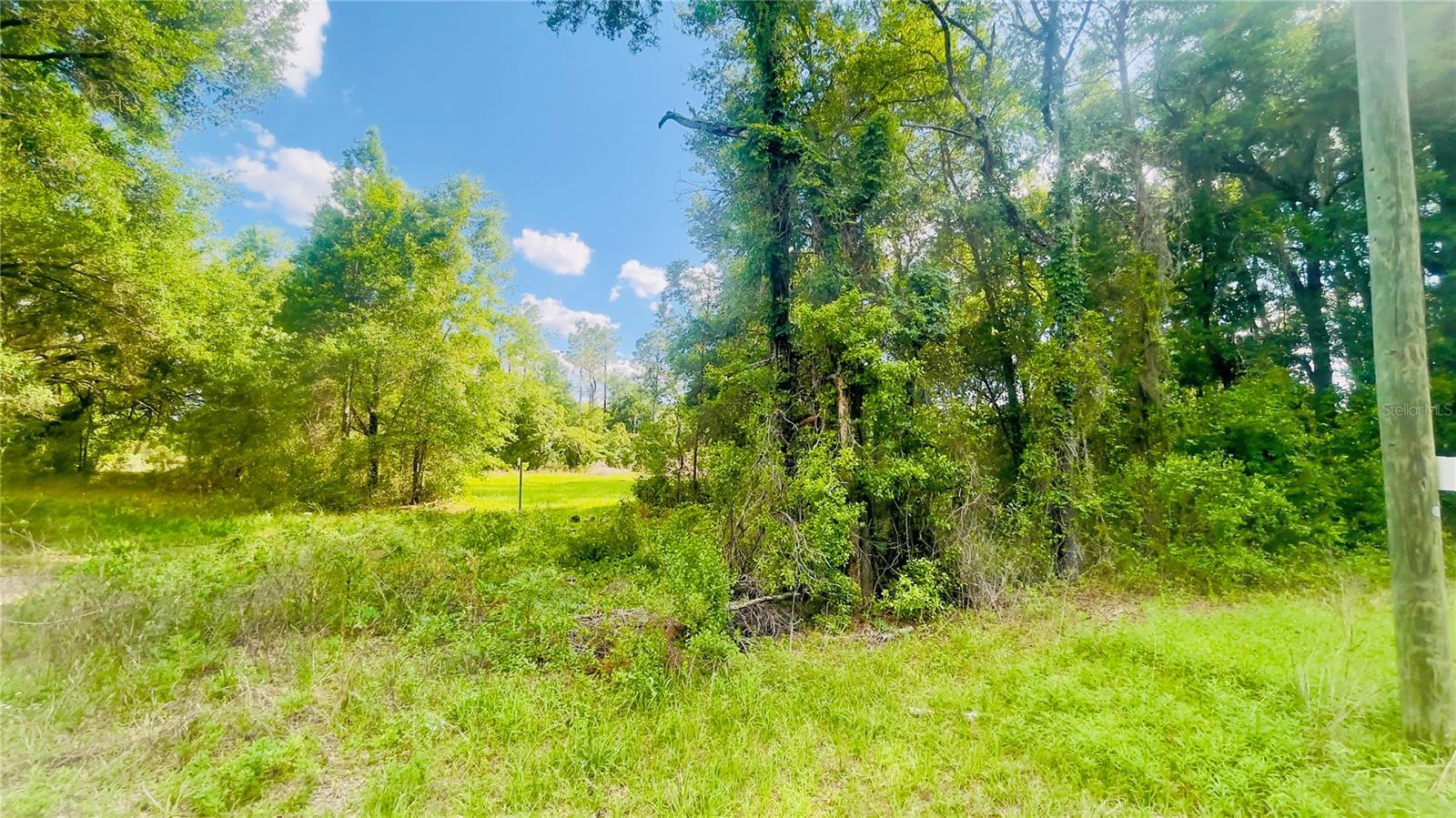 Lot 1 Ne 66th Ln Property Photo 4