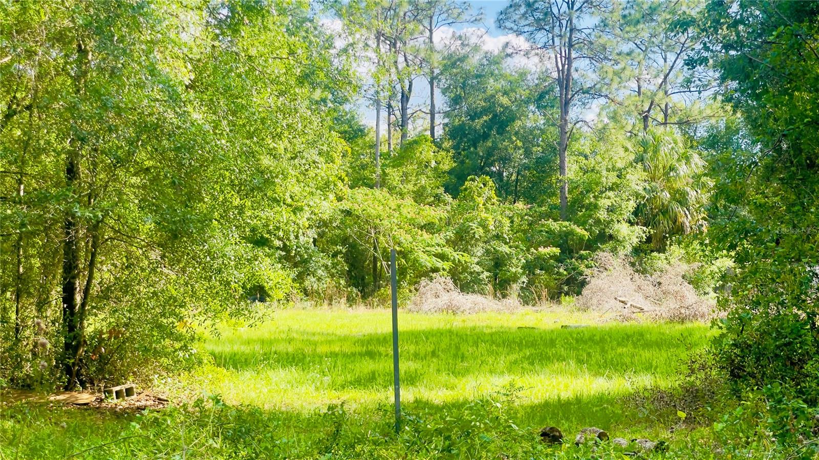 Lot 1 Ne 66th Ln Property Photo 5