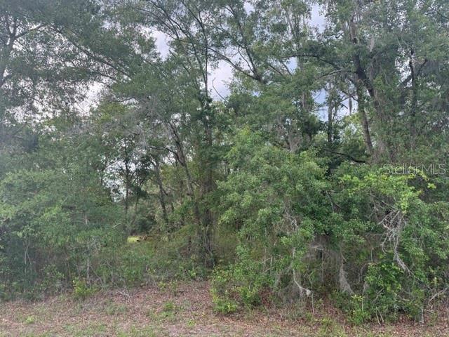 21902 Ne 69th Pl Property Photo 2
