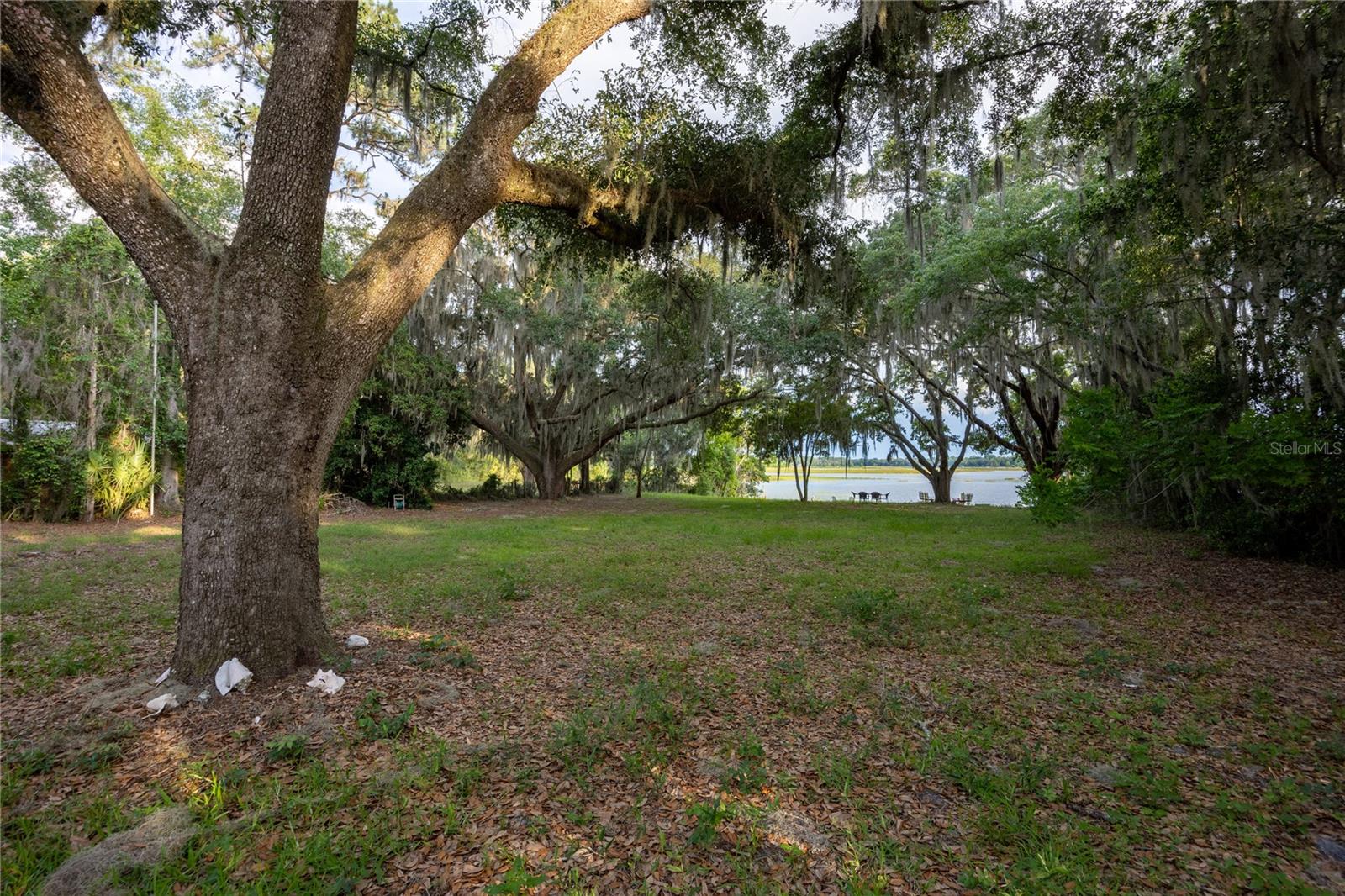 1847 State Road 20 Property Photo 36