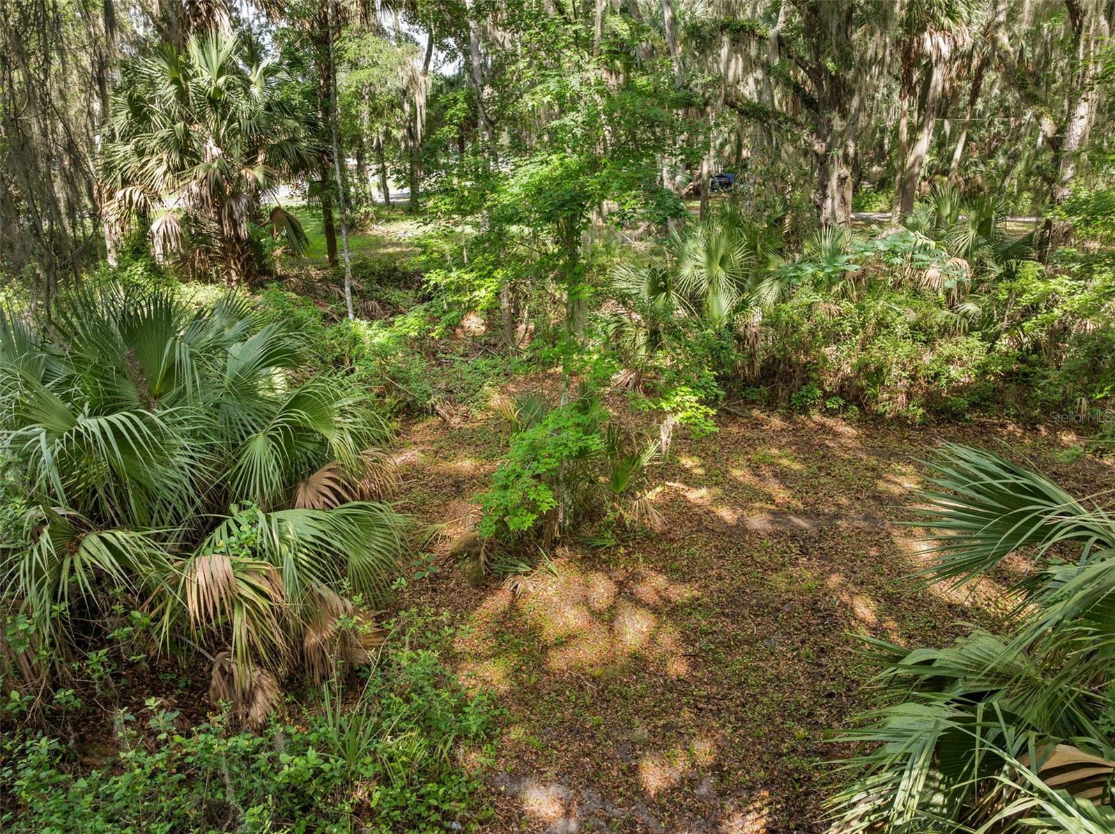 Tbd Se Wacahoota Rd Property Photo 3