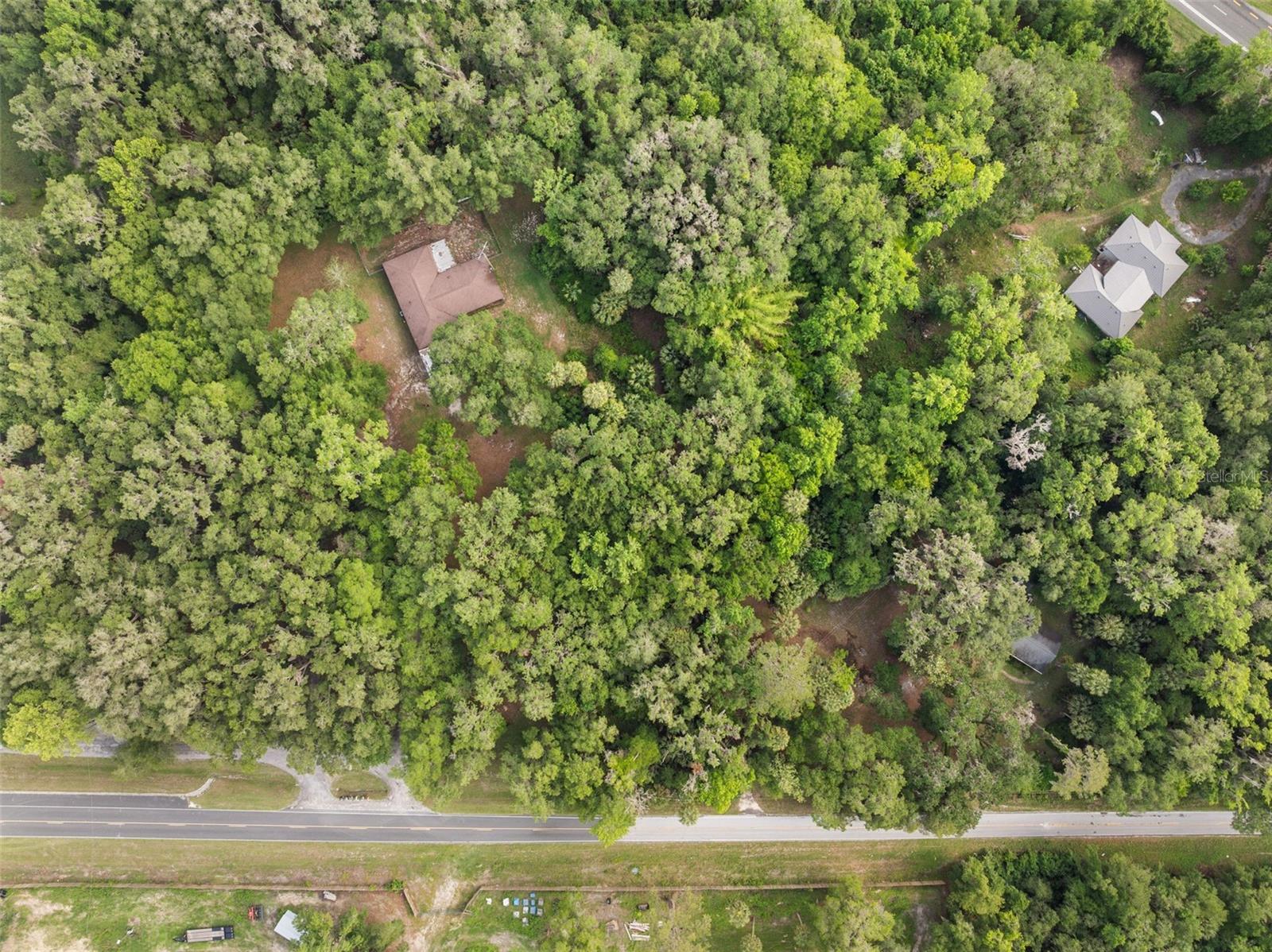 Tbd Se Wacahoota Rd Property Photo 11