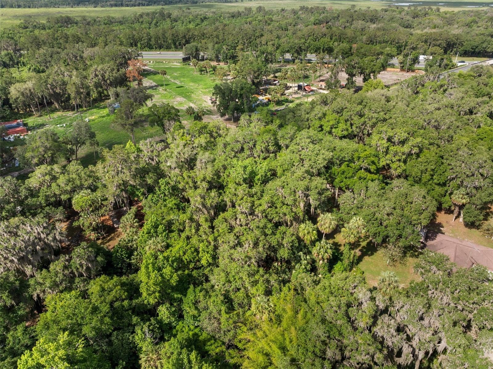 Tbd Se Wacahoota Rd Property Photo 13