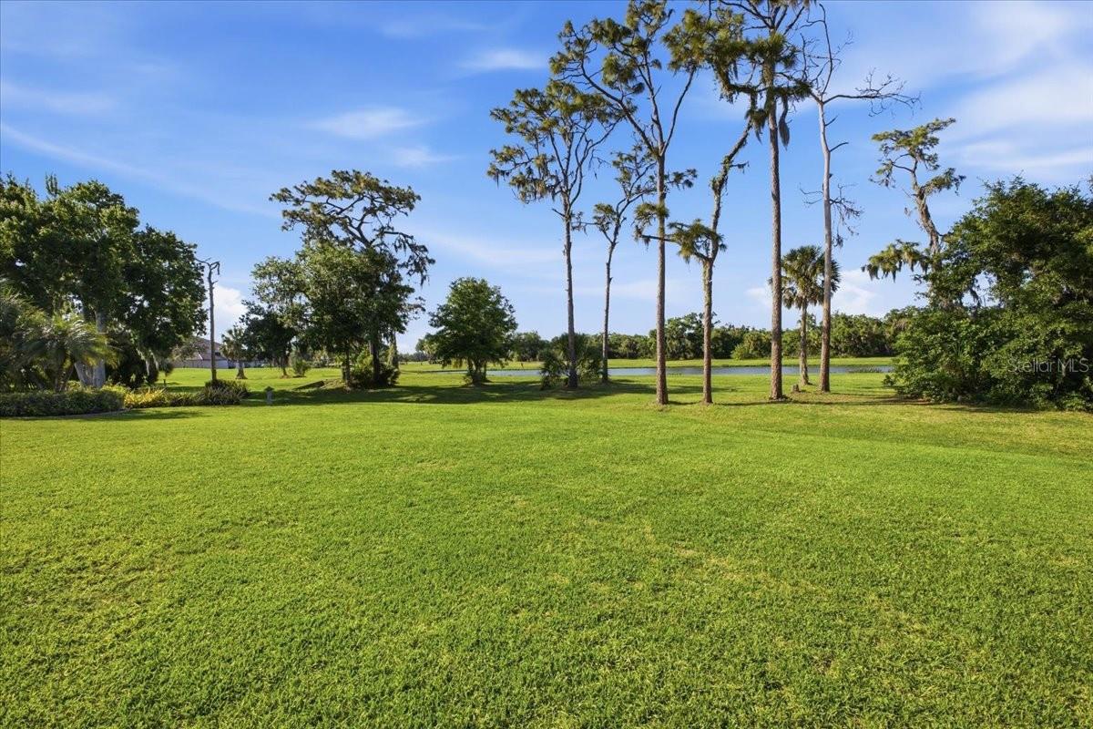 2309 Little Country Rd Property Photo 44