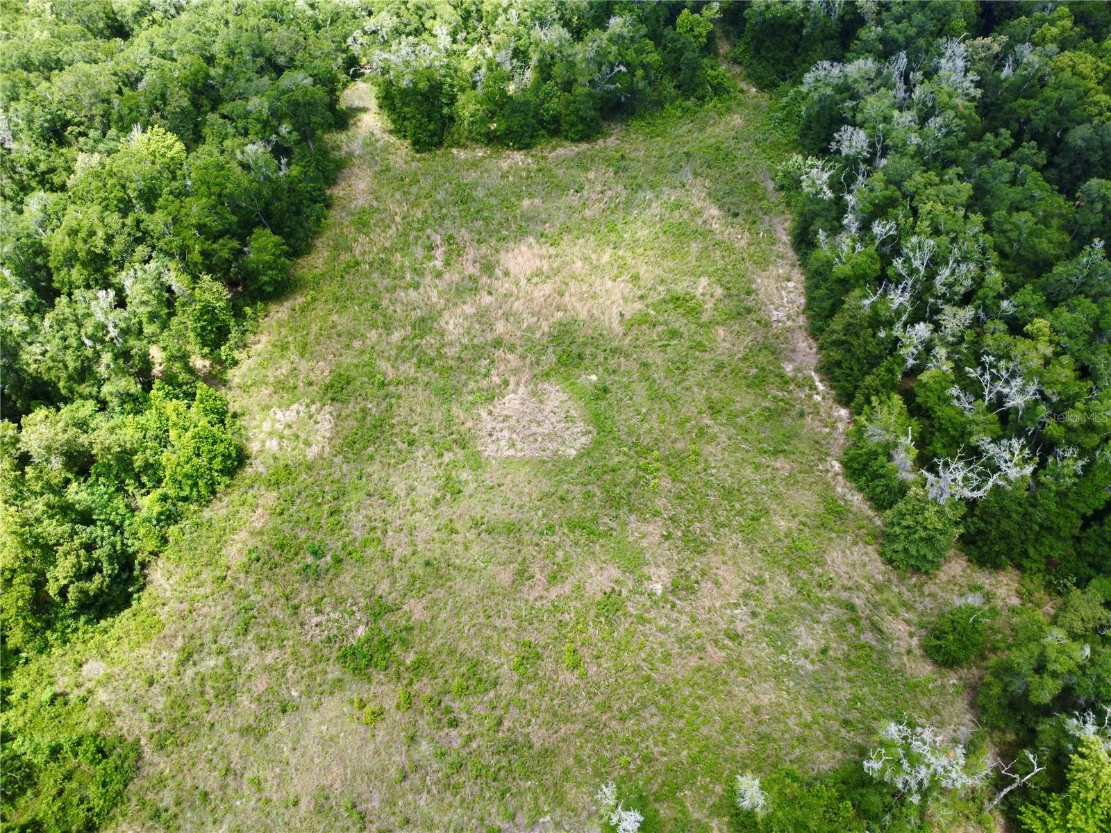 Tbd S Pine Avenue Property Photo 19