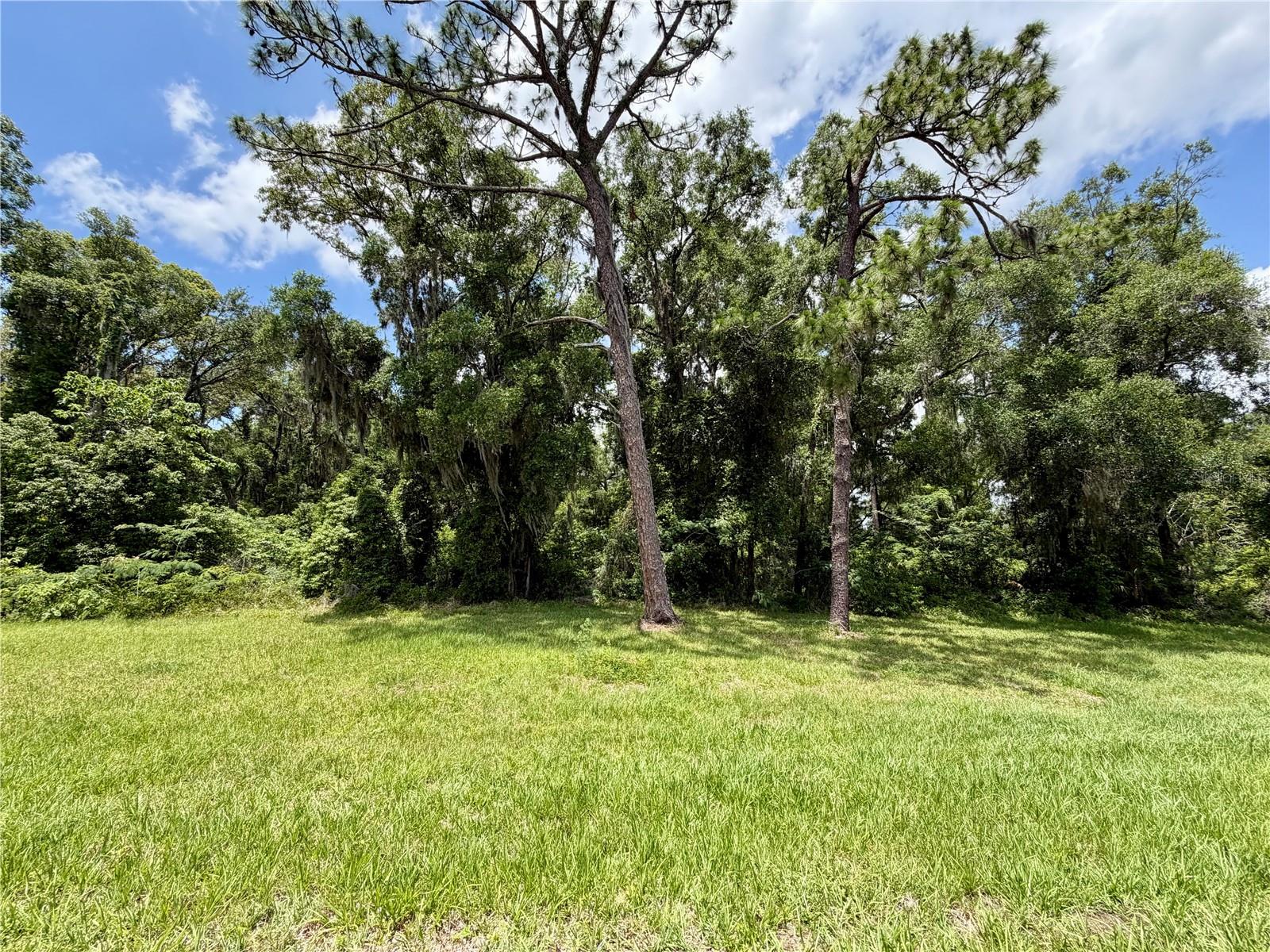 Tbd S Pine Avenue Property Photo 21