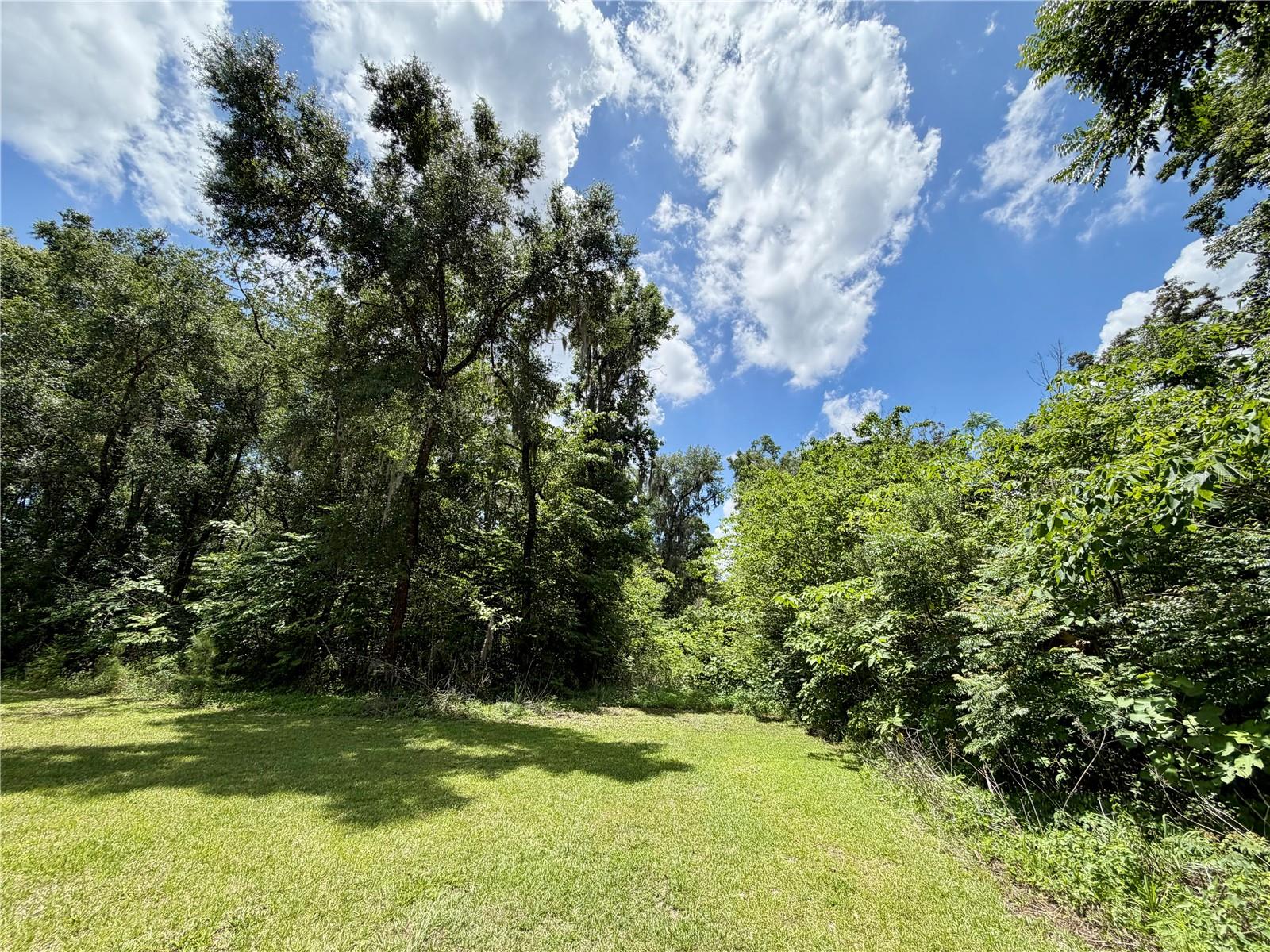 Tbd S Pine Avenue Property Photo 25