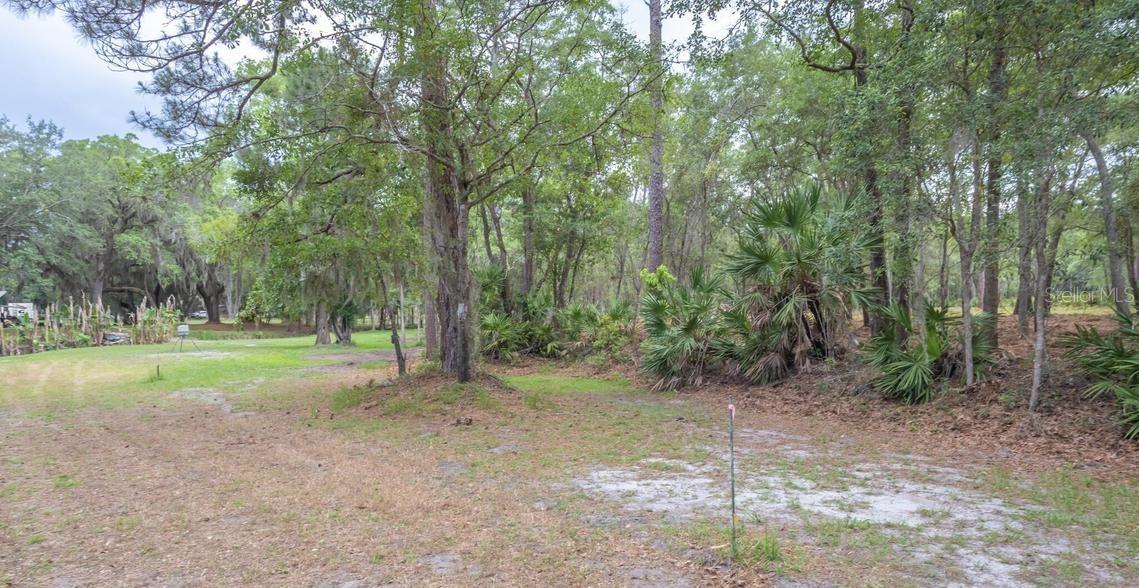 7149 Fitzpatrick Ln Property Photo 48