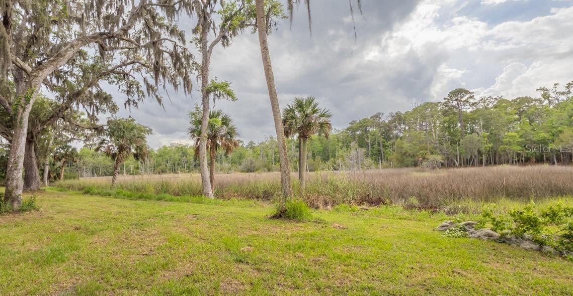 7149 Fitzpatrick Ln Property Photo 66