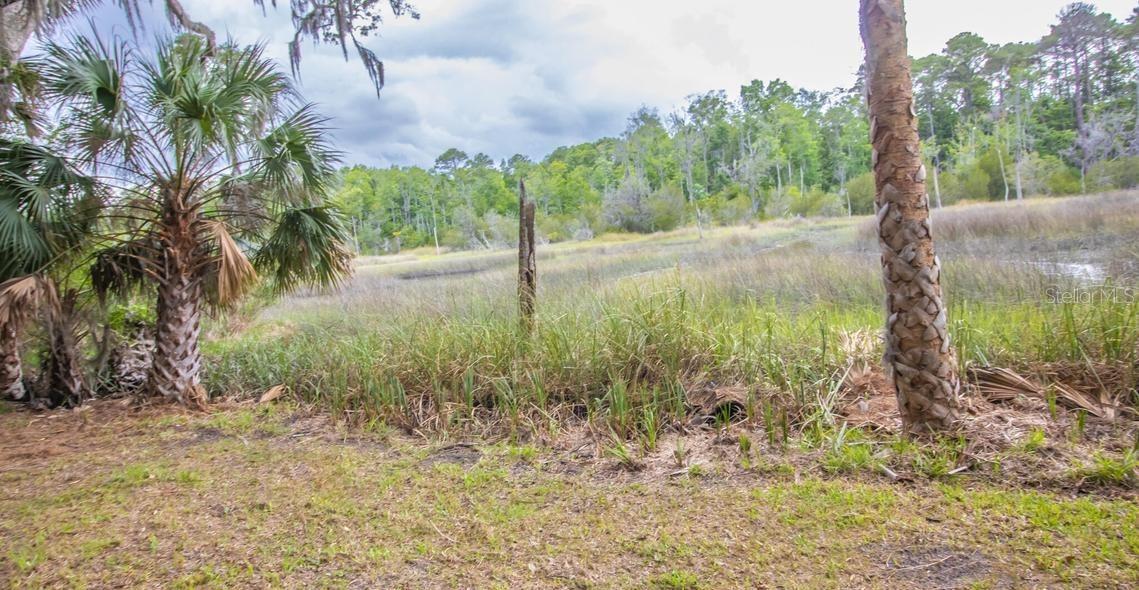 7149 Fitzpatrick Ln Property Photo 69
