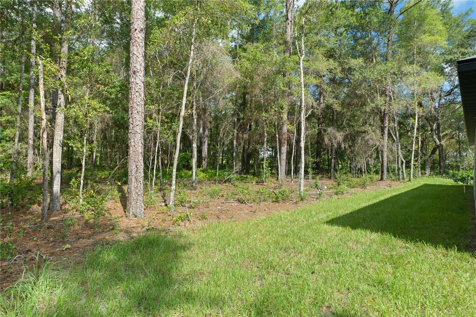 12 S School Ave Property Photo 58