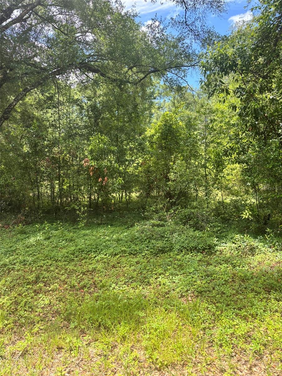 8230 Nw 166th St Property Photo 1