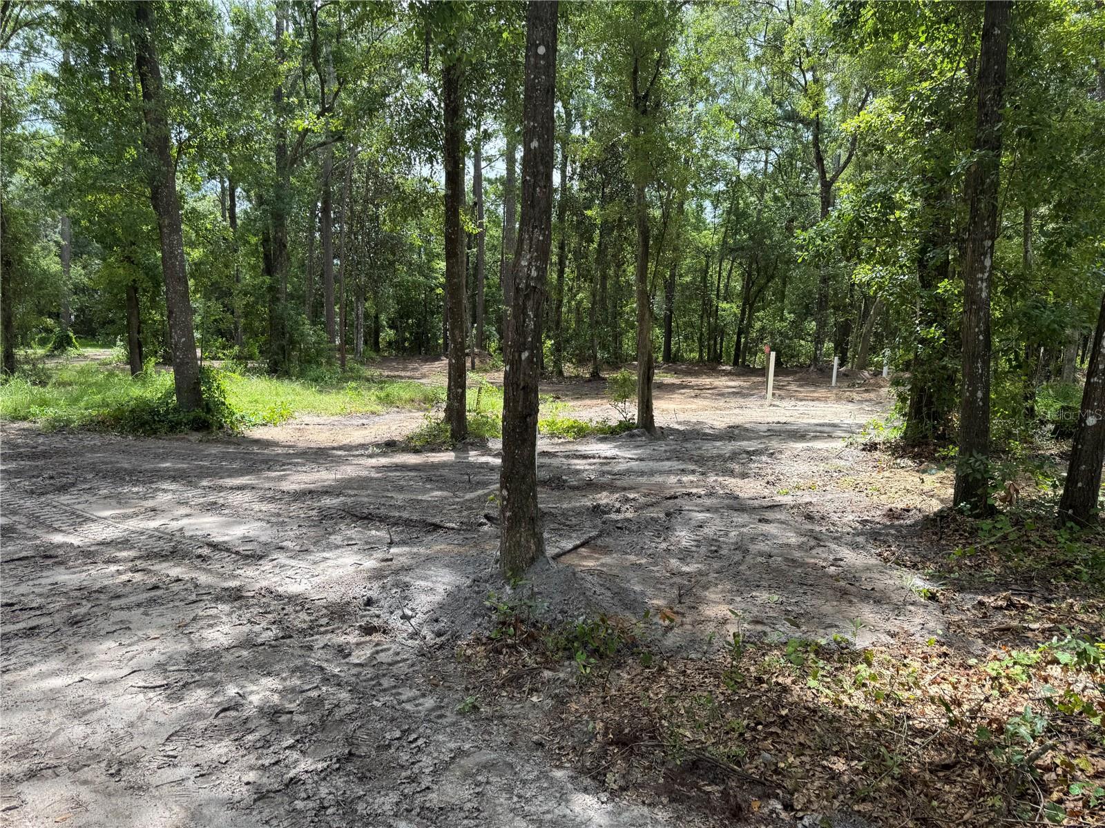 Tbd Property Photo 7