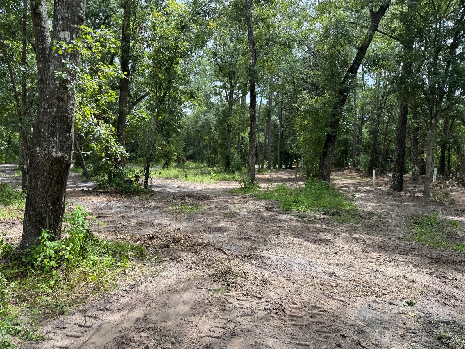 Tbd Property Photo 10