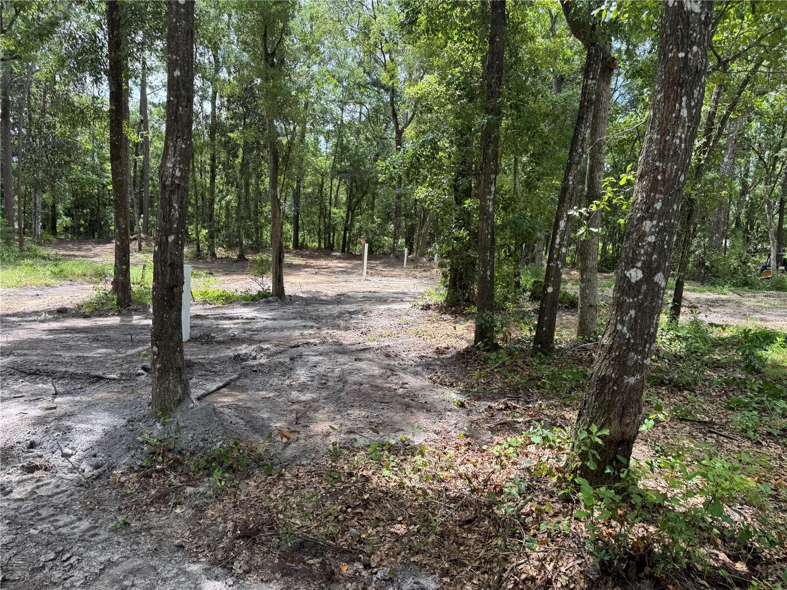 Tbd Property Photo 14