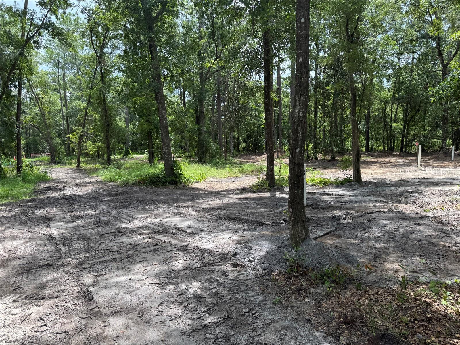Tbd Property Photo 15