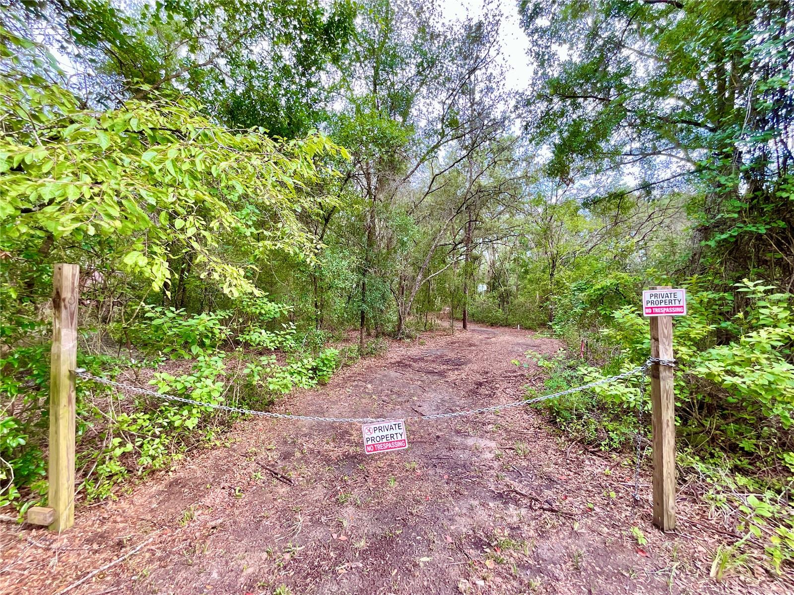 125 Silver Dollar Pond Rd Property Photo 6