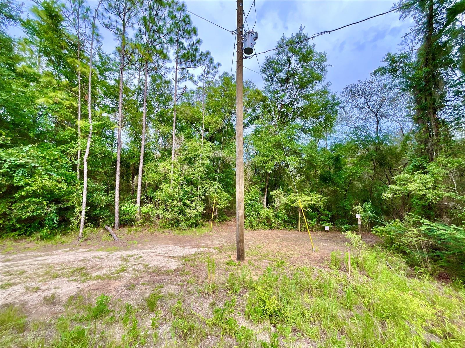 125 Silver Dollar Pond Rd Property Photo 8