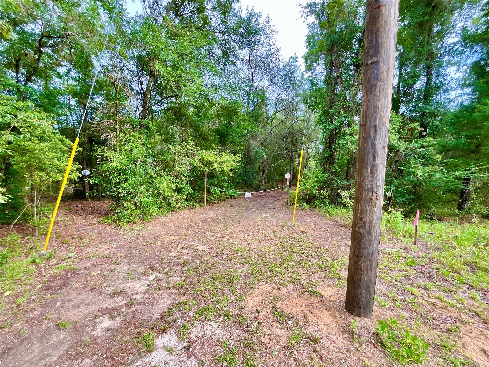125 Silver Dollar Pond Rd Property Photo 9