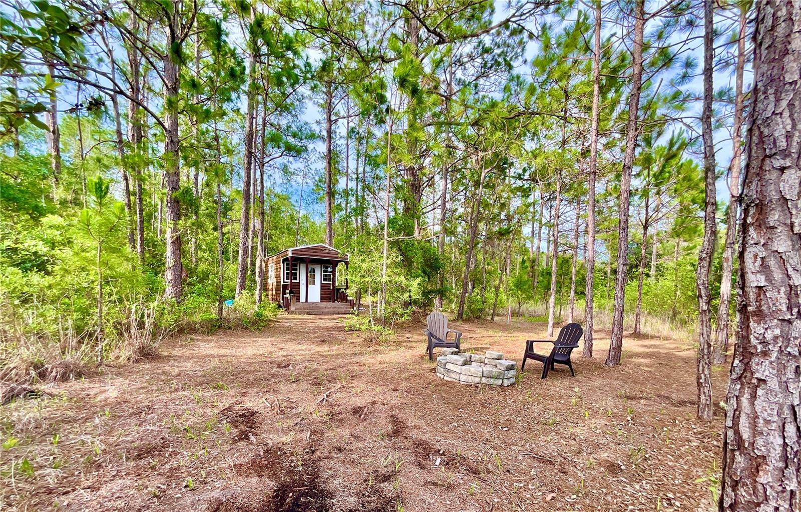 125 Silver Dollar Pond Rd Property Photo 19