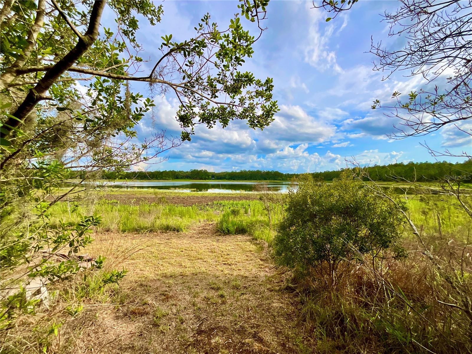 125 Silver Dollar Pond Rd Property Photo 22