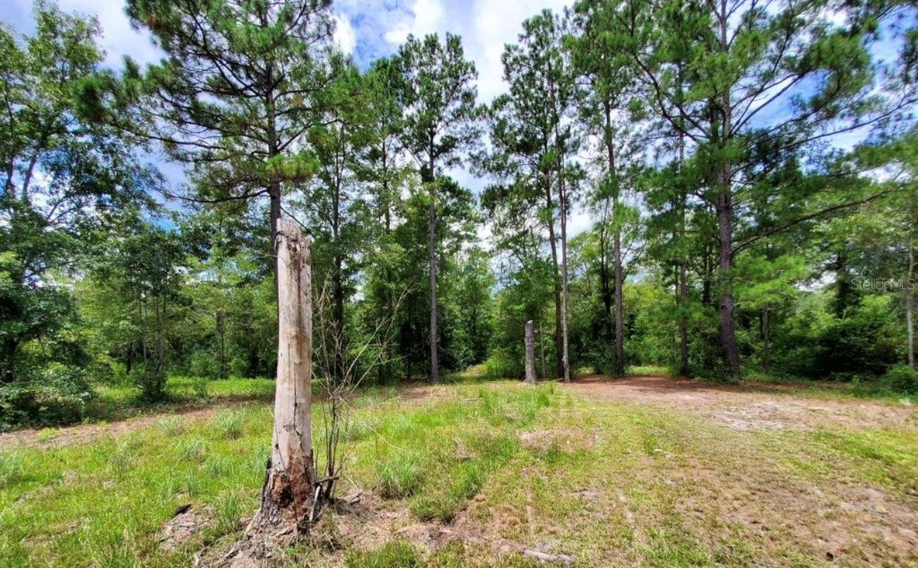 Tbd Rock Island Road Property Photo 3