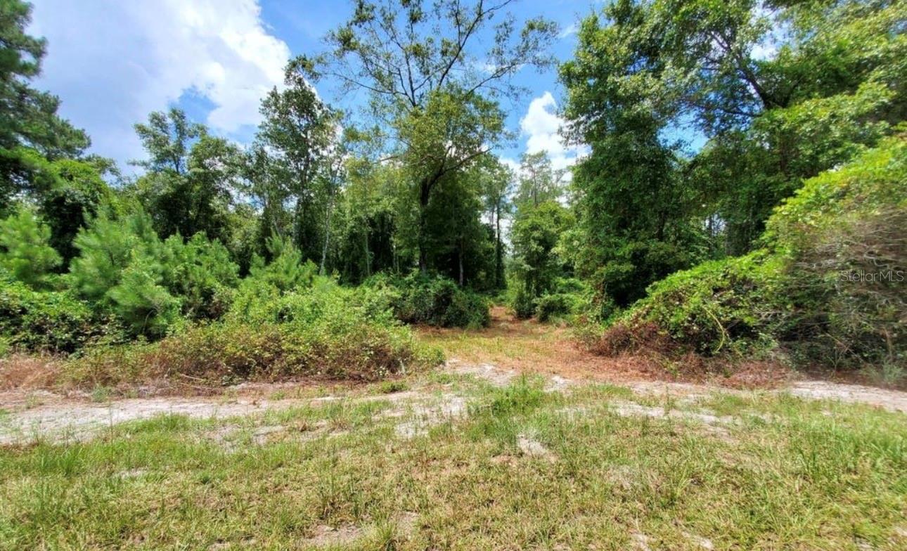 Tbd Rock Island Road Property Photo 4