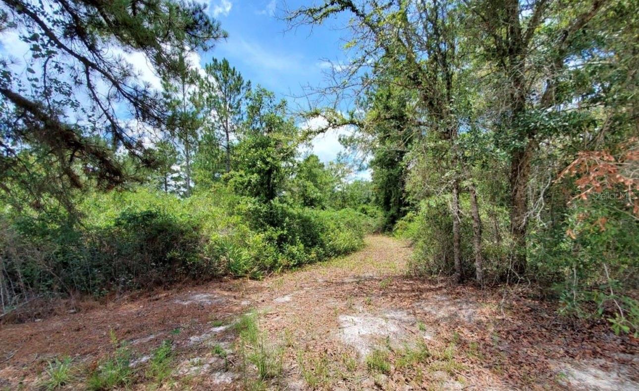 Tbd Rock Island Road Property Photo 5