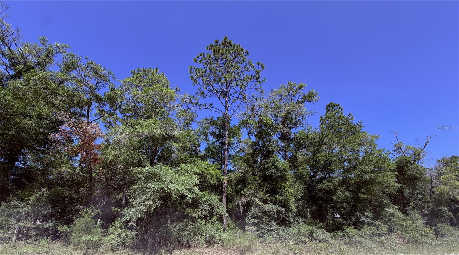 0 NE 90TH AVE #LOT 14-A