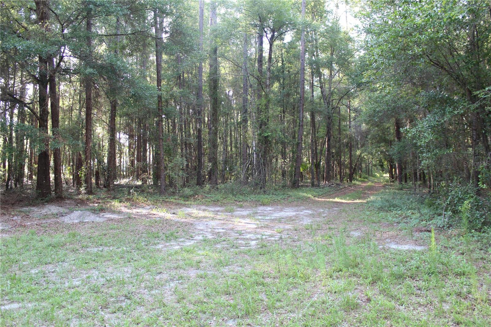 15821 Sw 50th Ave Property Photo 4