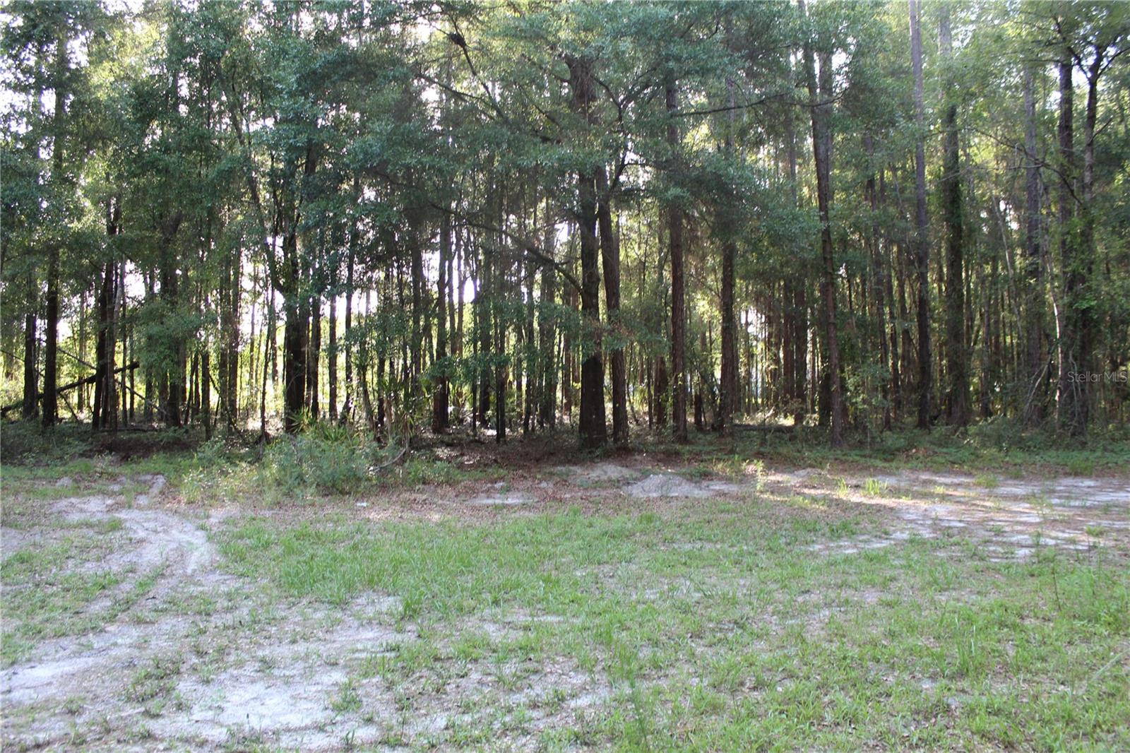 15821 Sw 50th Ave Property Photo 6