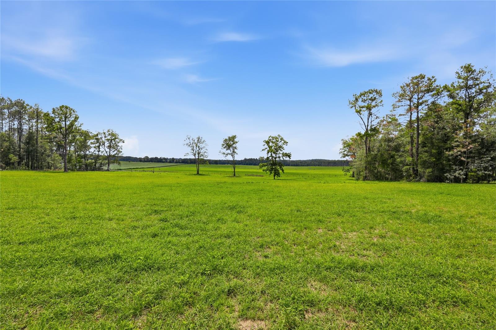 Lot 19 254th Ln Property Photo 3