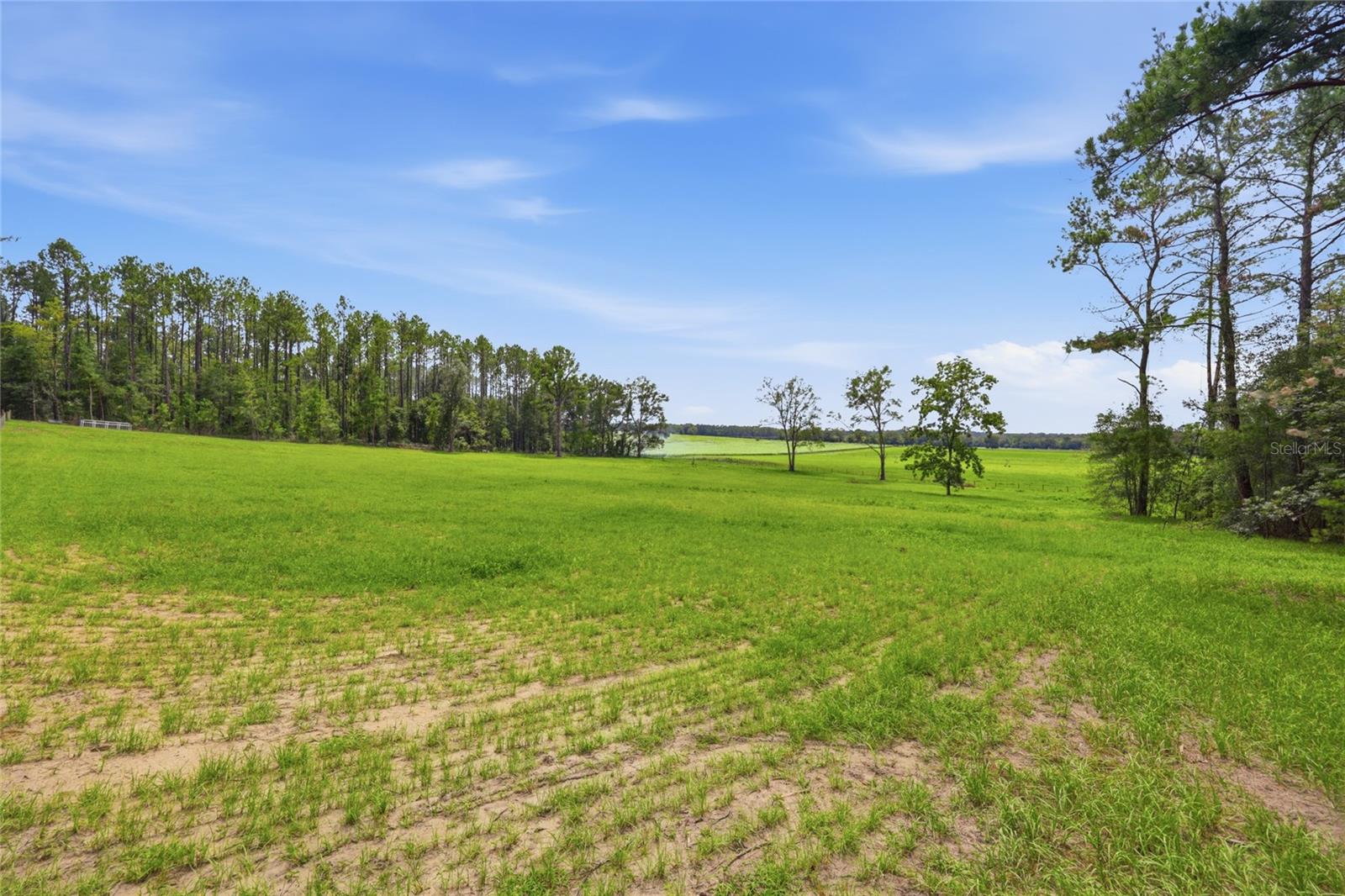 Lot 19 254th Ln Property Photo 4