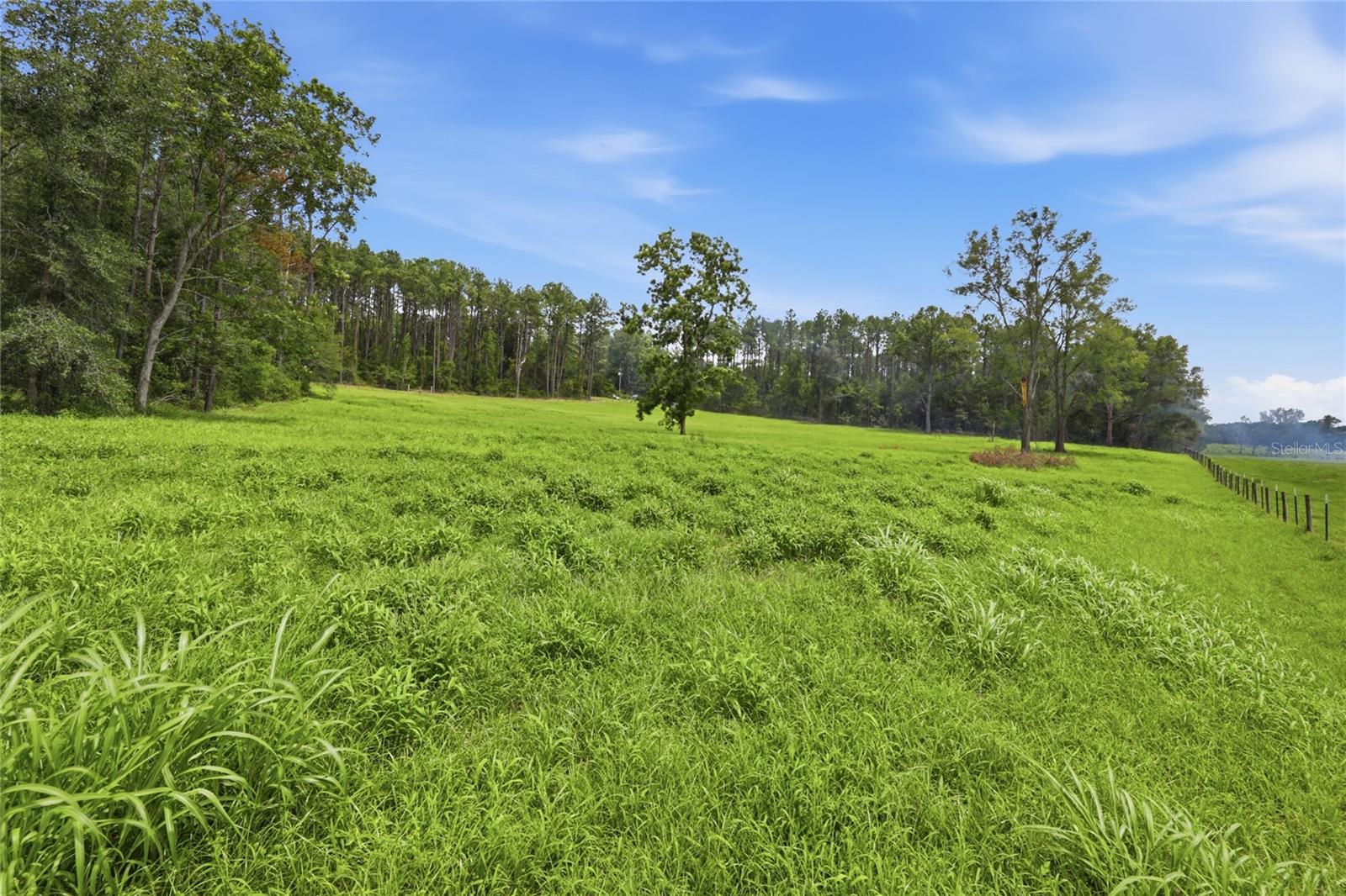 Lot 19 254th Ln Property Photo 5