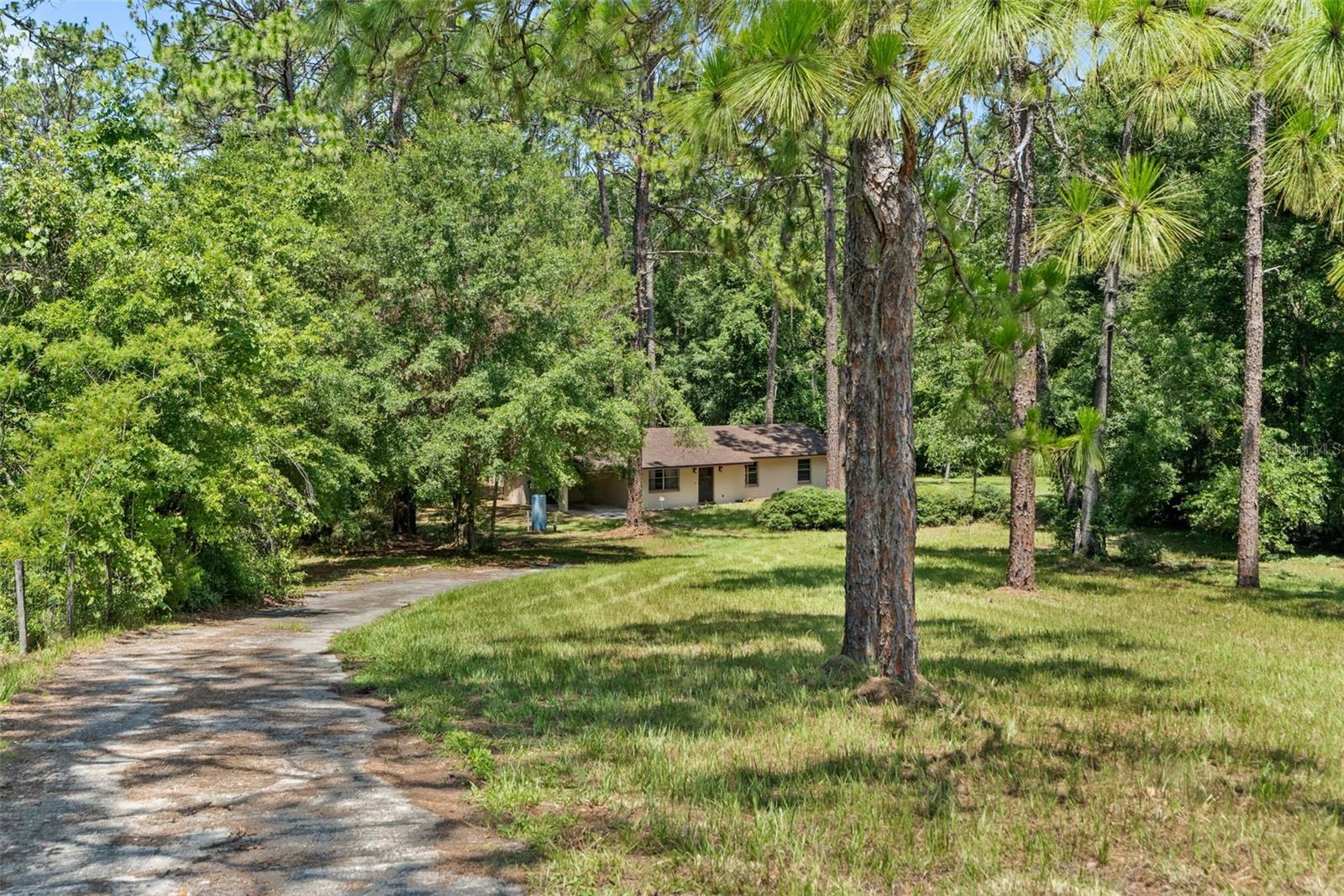 22897 County Road 137 Property Photo 3