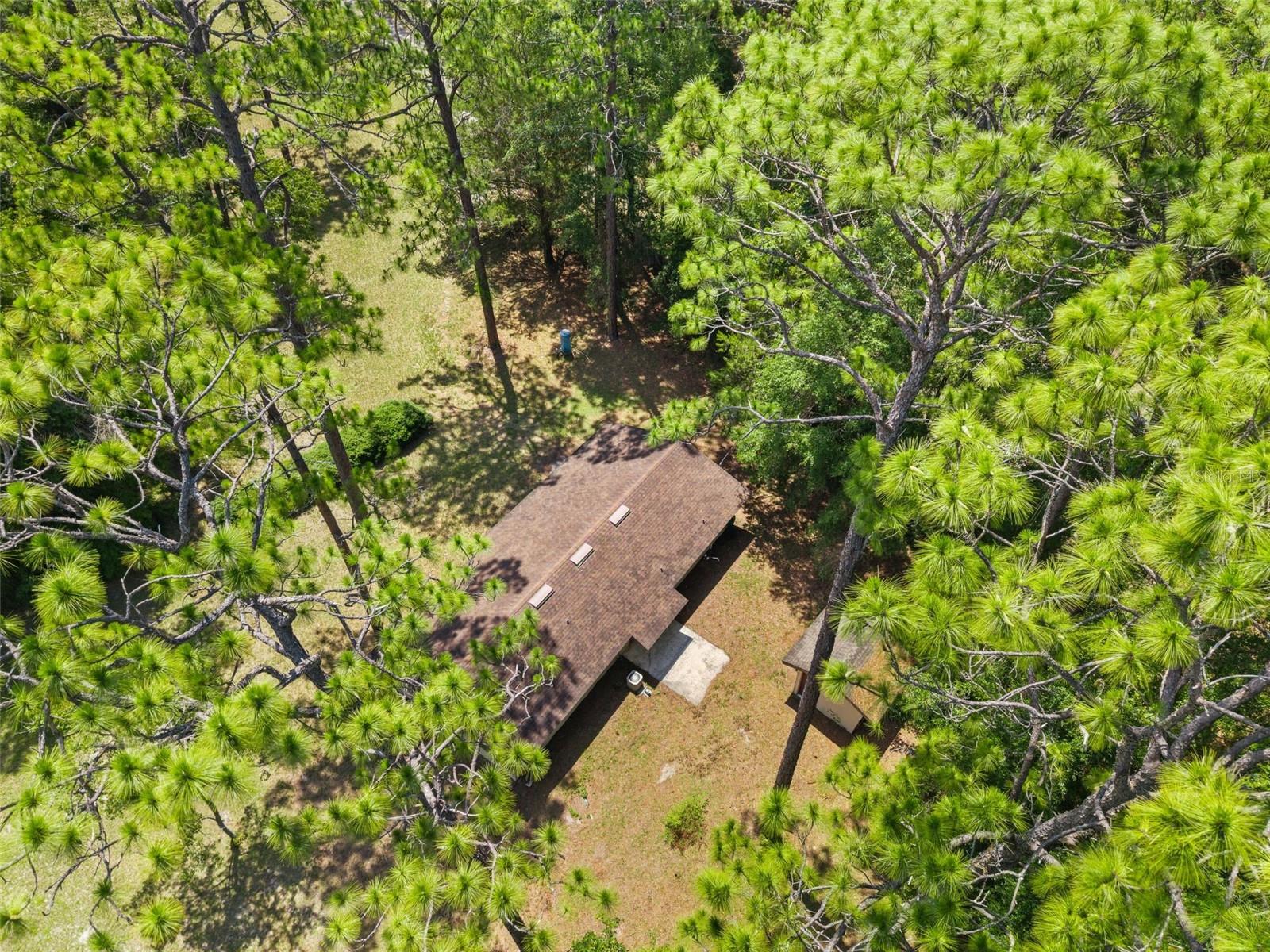 22897 County Road 137 Property Photo 29