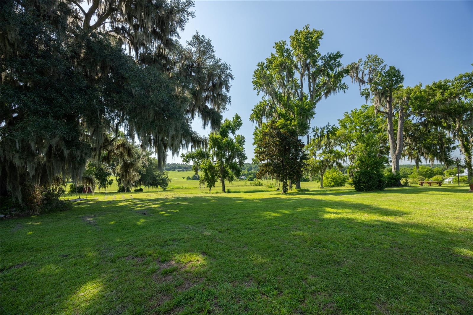 21601 Old Bellamy Rd Property Photo 38