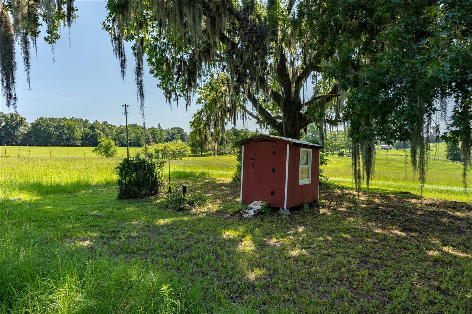 21601 Old Bellamy Rd Property Photo 49