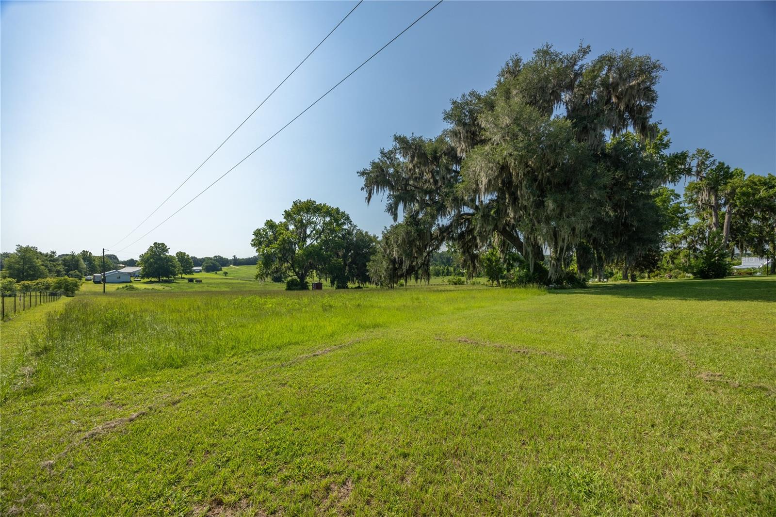 21601 Old Bellamy Rd Property Photo 59
