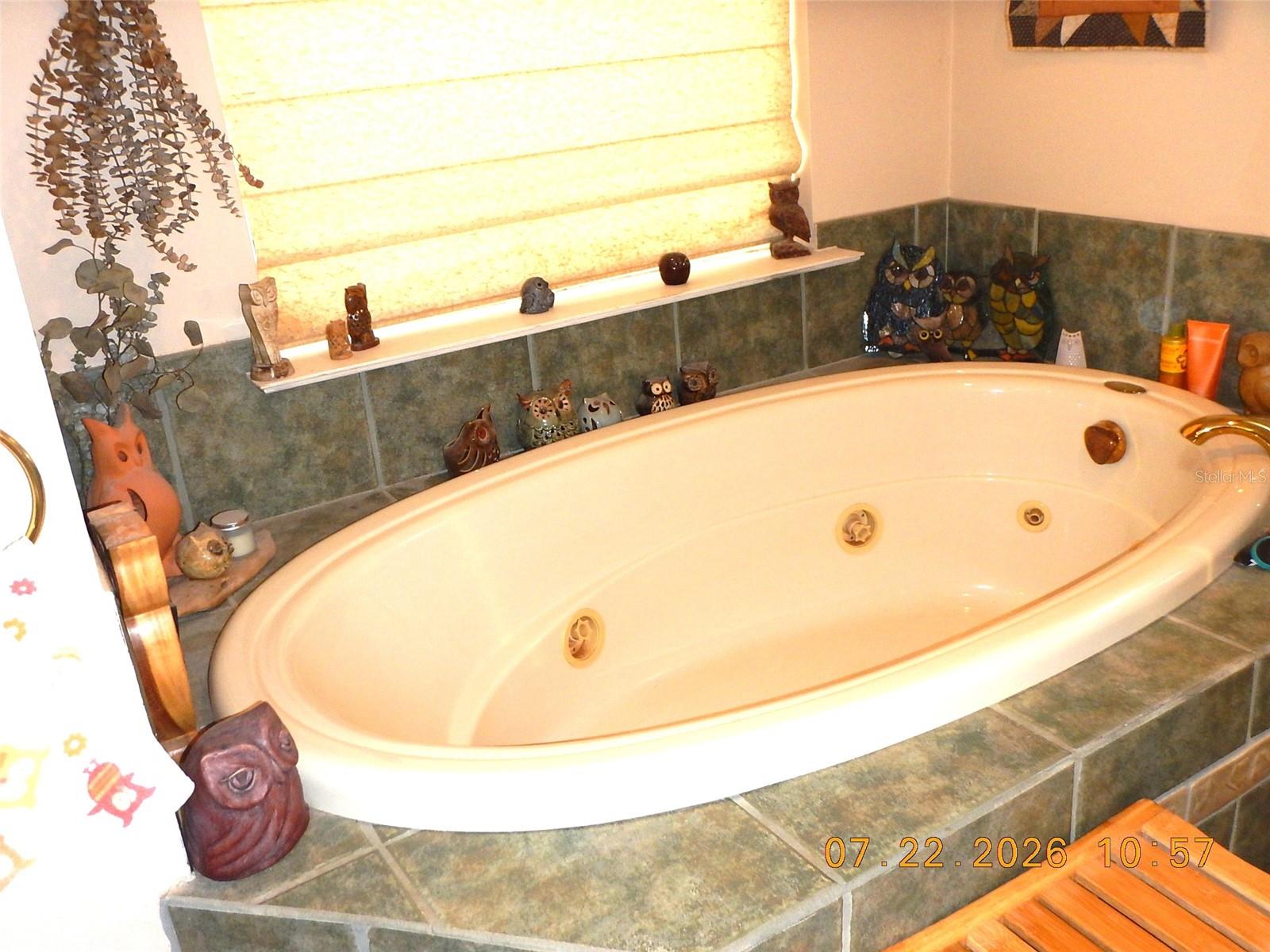 8315 Lilly Lake Rd Property Photo 19
