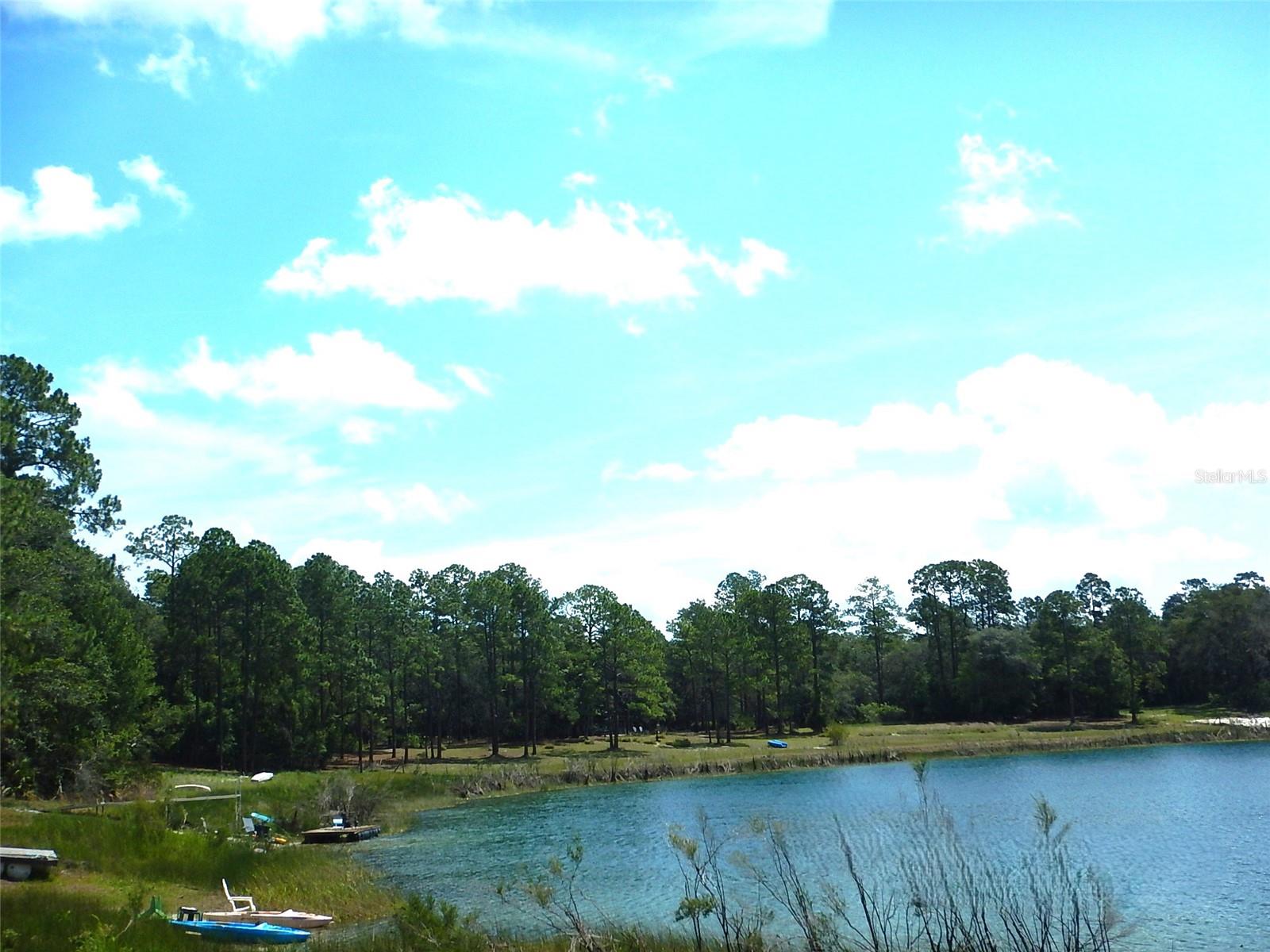 8315 Lilly Lake Rd Property Photo 38