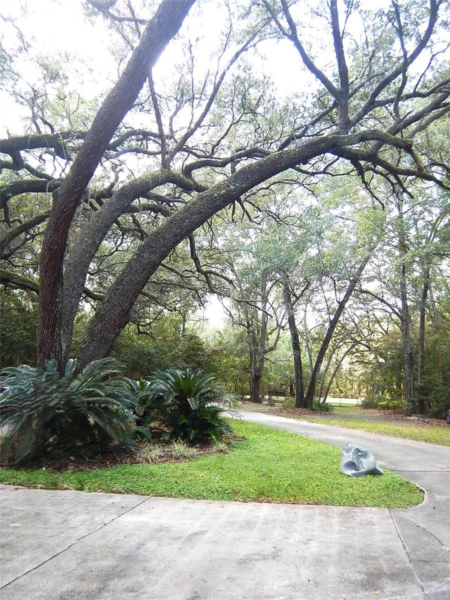 8315 Lilly Lake Rd Property Photo 48