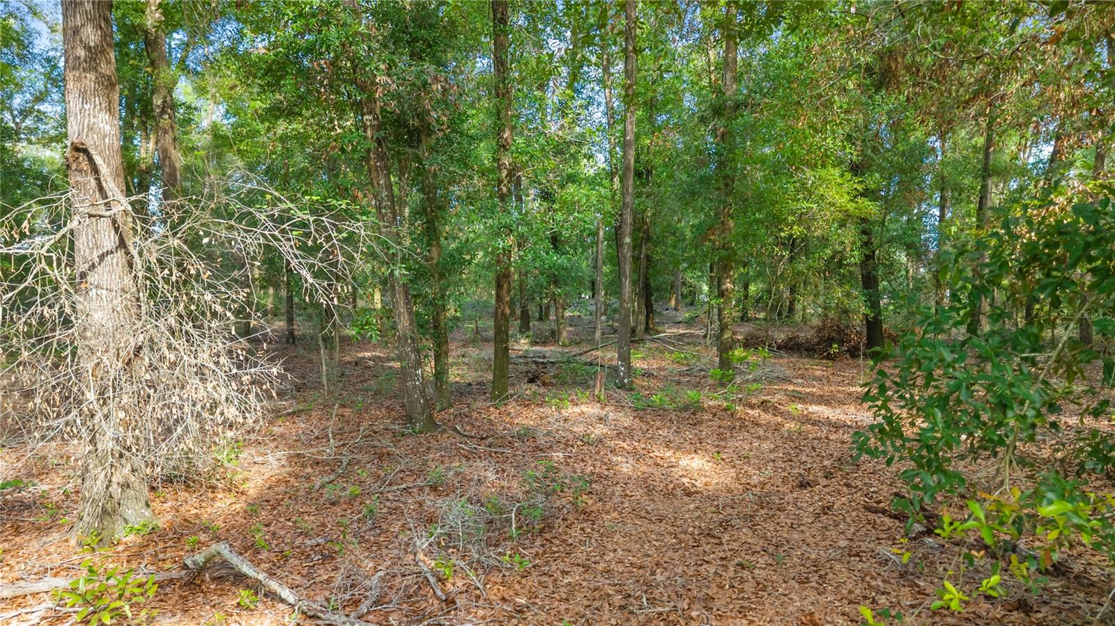 6679 Nw 27th Pl Property Photo 9