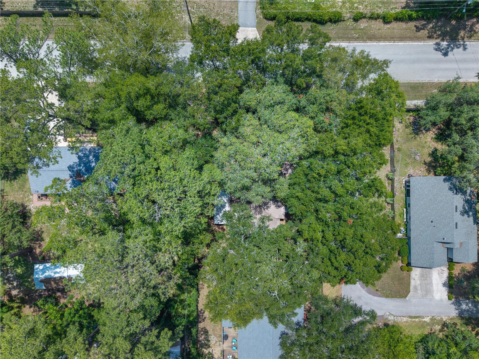 2077 Sw 42nd Ln Property Photo 35